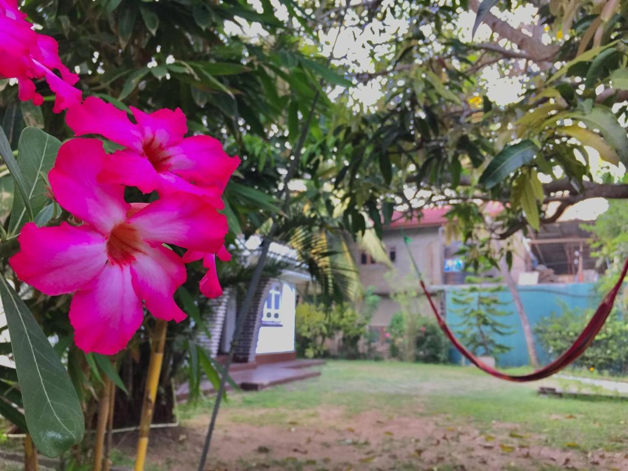 Cozy Cottage-Tangalle Kültér fotó